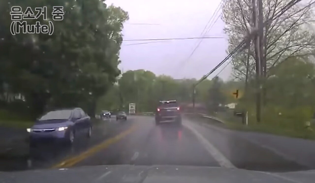 갑잘하려다 역관광 당한 미국 경찰관